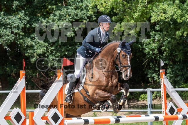 Late-Entry-Vielseitigkeit Langenfeld (06.+07.07.2020)