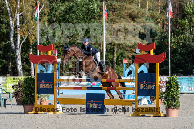 Deutsche Meisterschaft Vielseitigkeit (Luhmühlen)