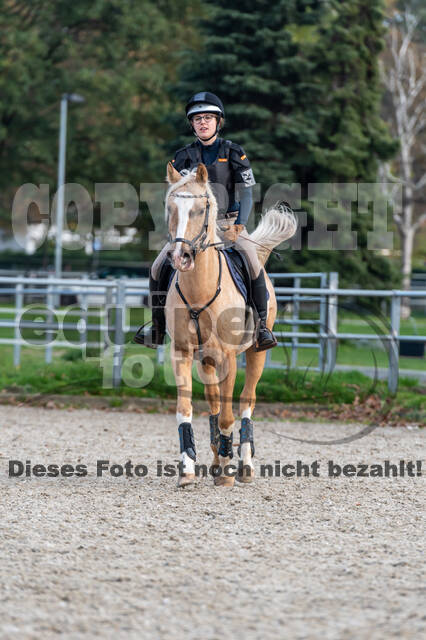 IGV Lehrgang der Sieger der Cups mit Frank Ostholt