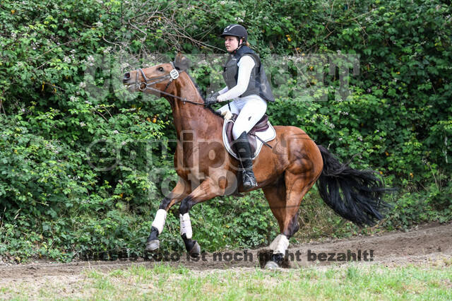 Late-Entry-Vielseitigkeit Langenfeld (11.+13./14.06.2020)