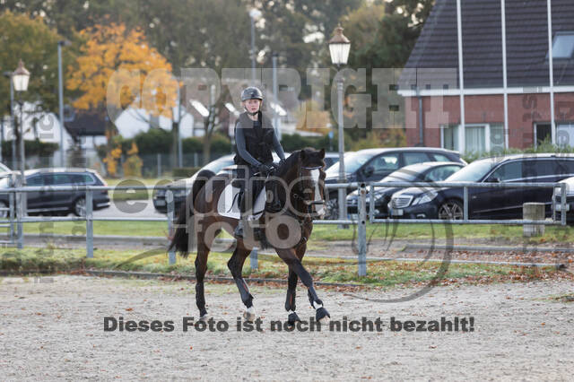 IGV Lehrgang der Sieger der Cups mit Frank Ostholt