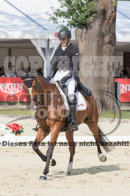 FEI European Championship Eventing 2017