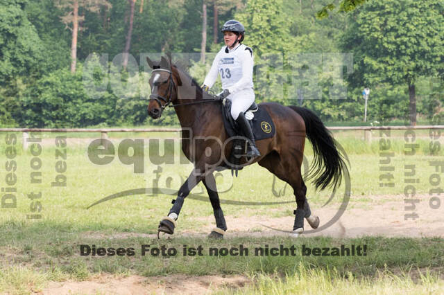 Vielseitigkeitsturnier ZRFV von Lützow Hamminkeln