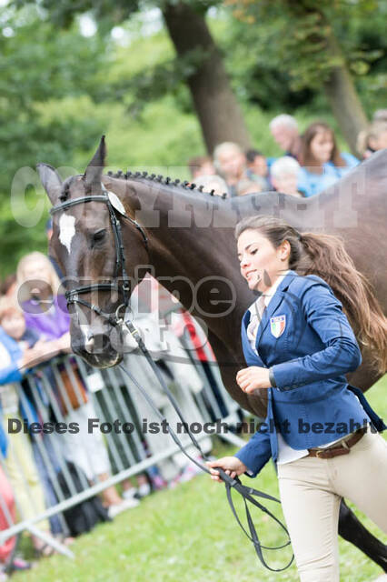 FEI European Championship