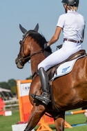 Kronenberg - De Peelbergen (August 2020)