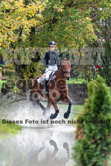 Goldene Schärpe 2020 - Pferde