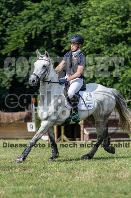 Goldene Schärpe 2021 - Ponys