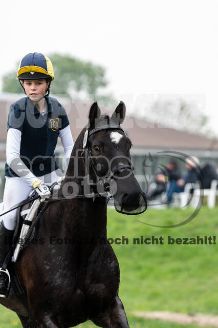 Goldene Schärpe 2020 - Pferde