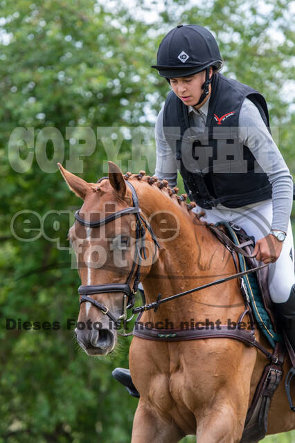 Bonn-Rodderberg Late-Entry-Vielseitigkeit (30.06.2020)