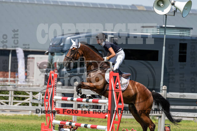 Kronenberg - De Peelbergen (August 2020)