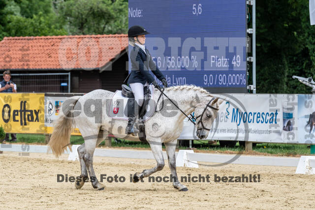 Goldene Schärpe 2021 - Ponys