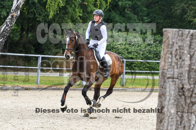 Late-Entry-Vielseitigkeit Langenfeld (11.+13./14.06.2020)