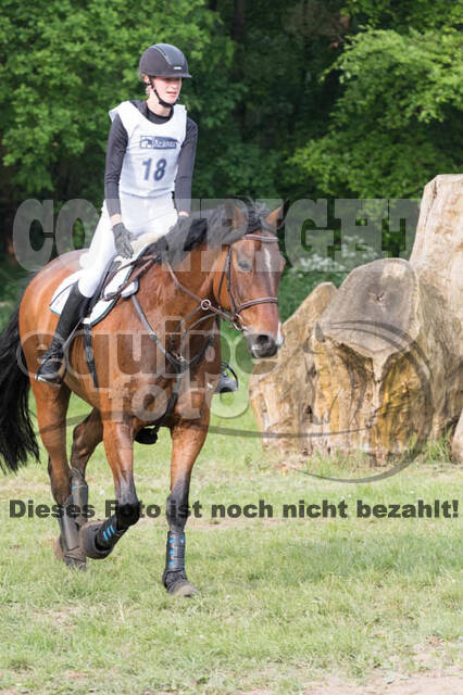 Vielseitigkeitsturnier ZRFV von Lützow Hamminkeln
