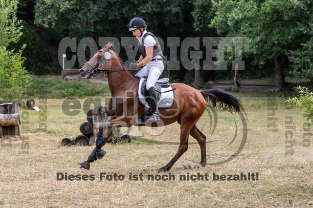 Late-Entry Vielseitigkeit Hamminkeln/Wesel (01.+02.08.2020)