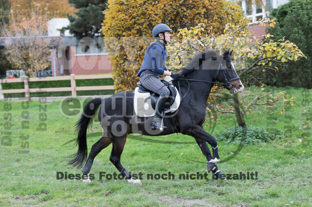 IGV Lehrgang der Sieger der Cups mit Frank Ostholt