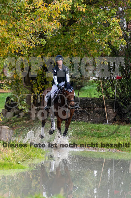 Goldene Schärpe 2020 - Pferde