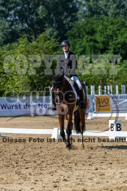 Westerstede Horse Trials 2021