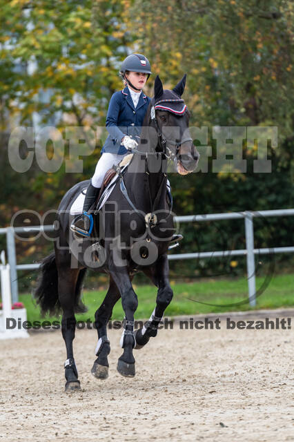 Reiter Schleswig-Holstein