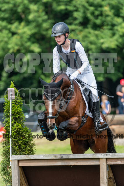 Goldene Schärpe 2021 - Ponys