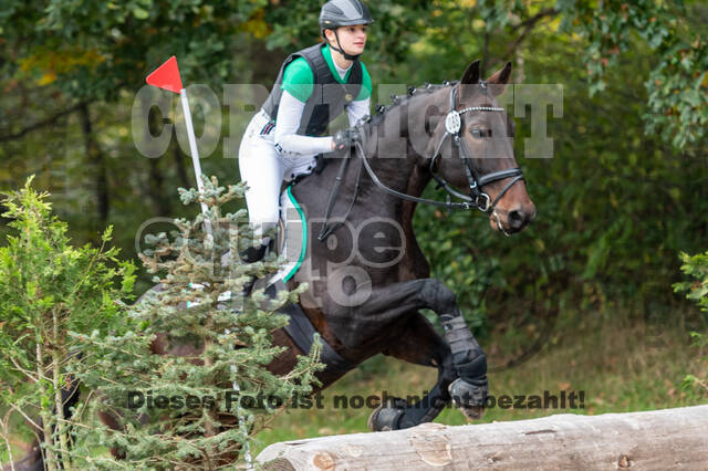 Goldene Schärpe 2020 - Pferde