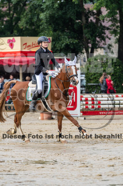 Goldene Schärpe 2021 - Ponys