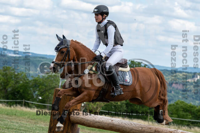 Bonn-Rodderberg Late-Entry-Vielseitigkeit (30.06.2020)