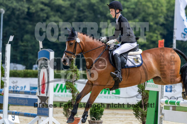 Goldene Schärpe 2021 - Ponys
