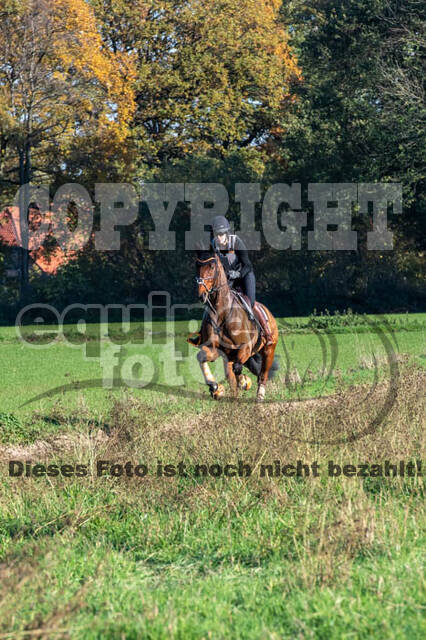 Vielseitigkeitslehrgang mit Jürg Kurbel (9.+10.11.2019)