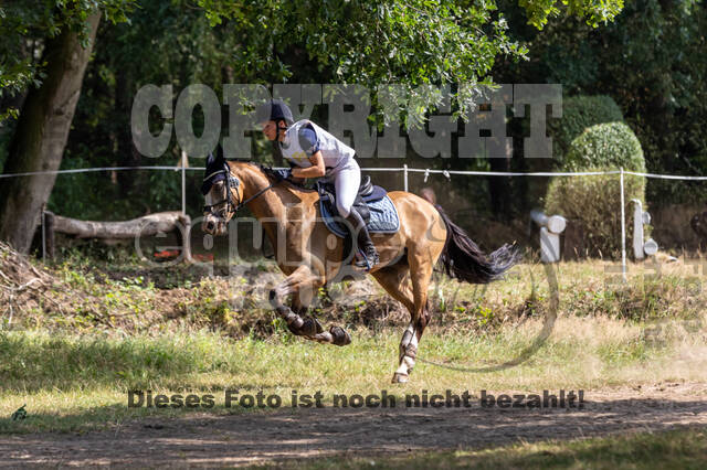 Late-Entry Vielseitigkeit Hamminkeln/Wesel (01.+02.08.2020)