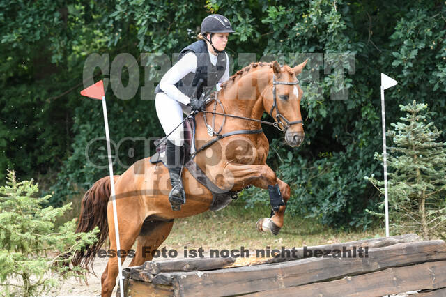 Late-Entry-Vielseitigkeit Langenfeld (11.+13./14.06.2020)