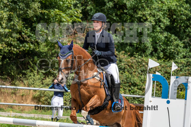 Late-Entry-Vielseitigkeit Langenfeld (06.+07.07.2020)