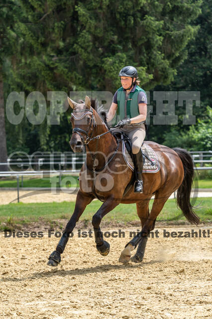 Hunter Geländetraining 10.07.2021 (Sonsbeck)