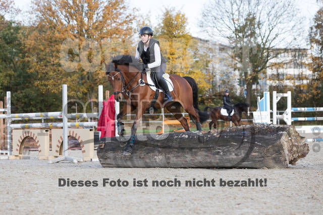 IGV Lehrgang der Sieger der Cups mit Frank Ostholt