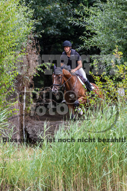 Late-Entry Vielseitigkeit Hamminkeln/Wesel (01.+02.08.2020)