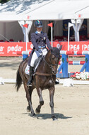 FEI European Championship