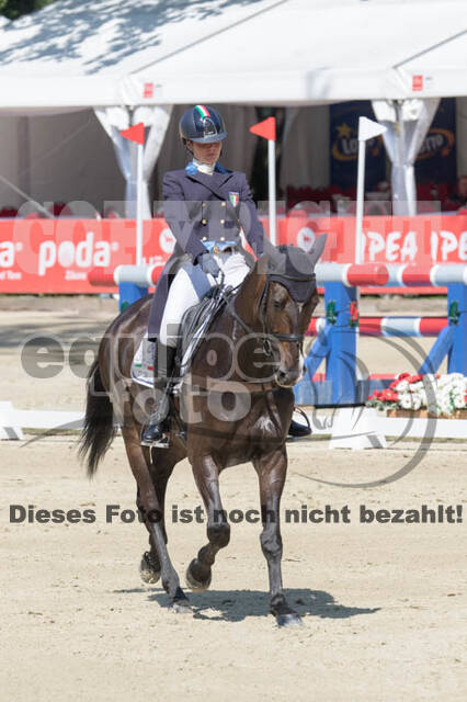 FEI European Championship