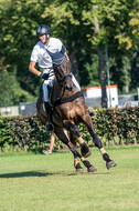 Kronenberg - De Peelbergen (August 2020)