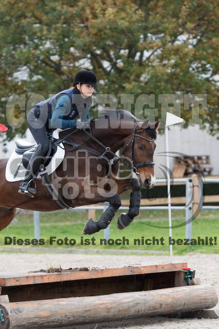 IGV Lehrgang der Sieger der Cups mit Frank Ostholt