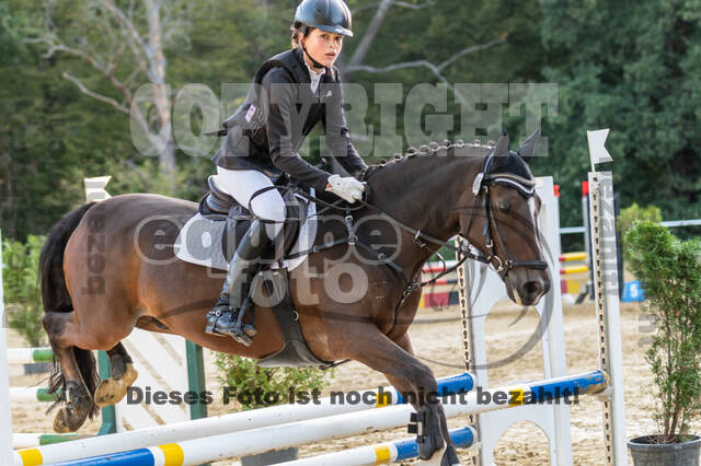 RFV Dinslaken-Hiesfeld (Herbstturnier)