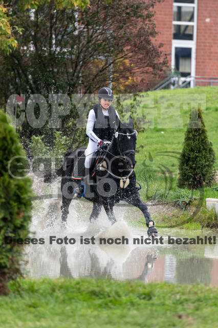 Goldene Schärpe 2020 - Pferde