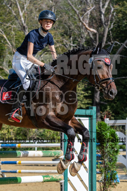 RFV Dinslaken-Hiesfeld (Herbstturnier)