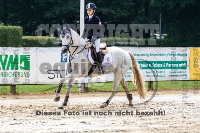 Goldene Schärpe 2021 - Ponys