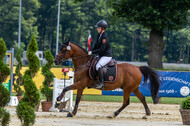 Goldene Schärpe 2021 - Ponys