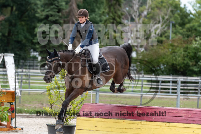 Late-Entry-Vielseitigkeit Langenfeld (06.+07.07.2020)