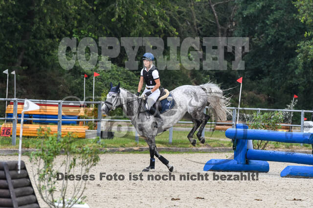 Late-Entry-Vielseitigkeit Langenfeld (11.+13./14.06.2020)