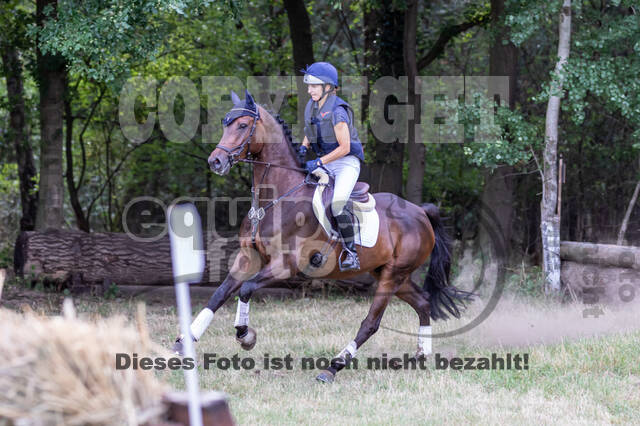 Late-Entry Vielseitigkeit Hamminkeln/Wesel (01.+02.08.2020)