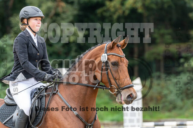 Vielseitigkeit RSV Wesel Obrighoven (26.+27.09.2020)