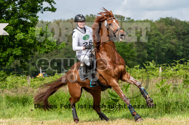 Westerstede Horse Trials 2021