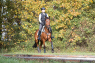 IGV Lehrgang der Sieger der Cups mit Frank Ostholt