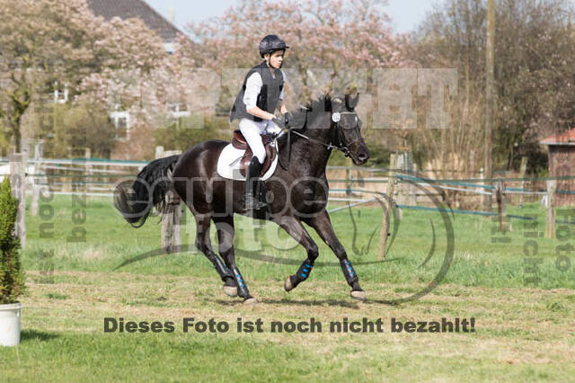 Frühjahrsvielseitigkeit RV Seydlitz Kamp